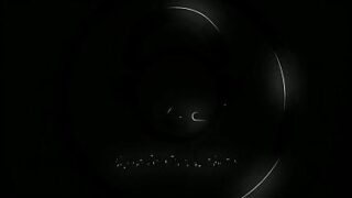 Ariana Goes Wild