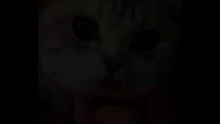 El Cat