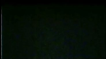Meus Cristais Gus Productions Ender Dragon