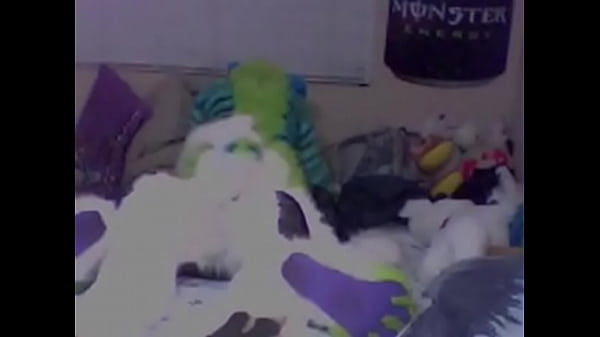Mursuit
