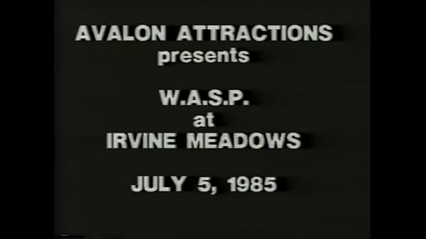 Wasp